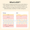 EGF Peptide Ampoule Epidermal Growth Factors Peptide Collagen Hyaluronic Acid and Evening Primrose Extract for Skin Elas