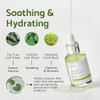 IUNIK Tea Tree Relief Vegan Serum for AcneProne Skin NonSticky Lightweight Facial Ampoule with Centella Asiatica for Soo