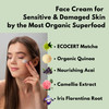 KITAO Organic Face Cream for Women Men Anti Aging Night Cream for Face with Matcha Shea Butter Retinol Vitamin C E Colla