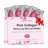 Permotary 30 PCS Moisturizing Collagen Lip Mask Crystal Mouth Care Pads Mask for Moisturizing Reducing Chapped Smoothing