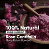 HC 100 Pure Rose Petals Powder Rosa Centifolia for Facial Mask Formulation 12 LB 227 gms 8 Oz