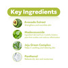 WELCOS FRUDIA Avocado Relief Essence Toner 659 oz Calming Korean Face Toner w 76 Avocado Extract CICA Madecassoside Soot
