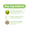 FRUDIA Green Grape Pore Control Face Toner 659 fl oz Pore Minimizing Korean Toner with 89 Green Grape Extract Tannin Por