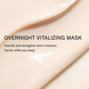 Sulwhasoo Overnight Vitalizing Sleeping Mask Korean Skincare Nourishes Hydrates Strengthens Moisture Barrier High Antiox