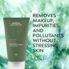 Aveda Botanical Kinetics AllSensitive Cleaner Gentle Facial Cleanser for Sensitive Skin Fragrance Free with Olive and Co