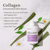 Elastalift Collagen Cream Fragrance Free Body Lotion Face Moisturizer For Women Men Collagen Lotion Skin Tightening Crea
