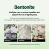MEDIPICKME Korean Bentonite Clay Mask for Pores Oil Control Deep Cleansing Face Mask Helps Minimize Pores Remove Impurit