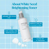 The Face Shop White Seed Brightening Toner with Lupin Seed Daisy Niacinamide Moisturizing Brightening