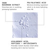 Versed Moisture Maker Hydrating Hyaluronic Serum Lightweight Face Serum for Dry Skin With Moisturizing Polyglutamic Acid