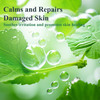 Madeca DERMA Revitalizing Sheet Mask 10pcs 100 Pure Cotton Sheets with Centella Asiatica Hyaluronic Acid and Niacinamide