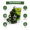 Reshma Beauty Kale Peel Off Mask Removes Blackheads Excess Oil Pore Purifying and Cleansing CrueltyFree Peel Off Mask fo