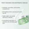 Aloderma Soothing Face Cream Made with 75 Organic Aloe Vera Calming Facial Cream with Squalane Vitamin E for Dry Sensiti