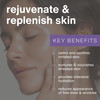 eraclea Intensive Hydrating Day Cream PB Skin Balancing Moisturizer with Probiotics Hyaluronic Acid and Squalane AntiAgi