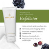 Borghese Intensive Age Defying Exfoliator Weekly Foaming Facial Exfoliator Scrub with Peptides Hyaluronic Acid for Smoot