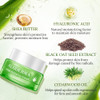 Aloderma Hydrating Face Cream for Dry Skin Made with 65 Organic Aloe Vera Natural Hydration with Hyaluronic Acid Arginin