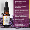 Health Priority NaturalsVitamin E Oil for FaceHair Organic Handmade NonGMO GlutenFree Vegan For Scars Wrinkles Stretch M