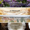 COSMEDIX Shineless OilFree Face Moisturizer Hydrating Cream with Vitamin B3 for Oily BlemishProne Skin Lightweight Daily