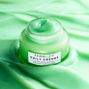 Farmacy Daily Greens Face Moisturizer Oil Free Facial Moisturizer with Polyglutamic Hyaluronic Acid Gel Facial Cream tha