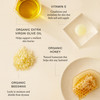 Boomsilk Face Moisturizer Cream Rejuvenating Face Lotion Facial Moisturizer for Mature Skin with Olive Oil Beeswax Honey