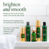 Tree of Life Beauty Ultimate Skin Care Set Brightening Firming Hydrating Moisturizing Brightening Complete Face Care Reg