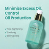 THE SKIN HOUSE Pore Control Powder Serum Lightweight SebumControl Serum with Loess Tea Tree Herbal Extracts Smooth Finis