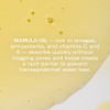 Odacit Anti Aging Serum Concentrate with Marula Neroli Elasticity Glow Recipe Facial Oil for Hydration Skin Texture Visi