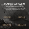 MIZON Black Snail All In One Cream Intensive Korean Skin Care Facial Moisturizing Snail Mucin Extract Travel Size 118 fl