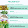 Fasplendor Tea Tree PeelOff Jelly Face Mask Powder Professional SpaQuality Alginate Facial Mask for Deep Cleansing Black