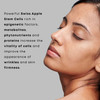 Georgette Klinger Stem Cell Serum AntiAging Face Serum with Hydrating Hyaluronic Acid Promotes Cell Turnover Improves Sk
