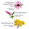 Naturopathica Plant Stem Cell Booster Serum Daily AntiAging Face Serum to Smooth Fine Lines Firming Facial Serum Helps P