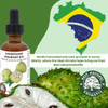 Virgin Soursop Oil Anona Muricata Graviola Guanabana 100 Pure Organic ColdPressed Unrefined 2oz 60ml Natural Facial Oil