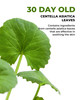 DERMAFIRM Cica AC Spot Cream Centella Asiatica Hydrating Cream for Face Age Defying Korean Beauty Acne Care Niacinamide