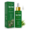 Dermaxgen Tea Tree Serum Organic Tea Tree Oil with Natural Vitamin C for Acne Scars Dark Spots Pimples Blemishes Helps R