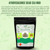 AYURVEDASHREE Dead Sea Mud 200 Gm Nourishes Exfoliates Softens Detoxify the Skin DRY CLAY POWDER 100 Only Dead Sea mud p