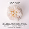 Bulgarian White Rose Water Rosa Alba 100 Pure USDA Certified Organic Face Toner 17 Fluid Ounces