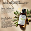 Squalane Oil 100 Pure Natural Plant Derived Facial Oil 2 Fl Oz Cold Pressed and Unrefined Premium Grade Multipurpose Moi