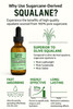 Squalane 100 Pure Plant Derived Face Oil 2 Fl Oz All Natural Hydrates Nourish Moisturize Skin Face Body and Hair for All