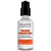 Hyaluronic Hydration Honey Concentrated Hyaluronic Acid Serum with Super Charged Moisturizers Natural Moisturizing Facto