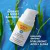 Burts Bees Hyaluronic Acid Face Serum Hydrates Boosts Skin Naturally for Smoother Glowing Skin Tone Lightweight with Alg