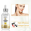 Active Collagen Serum Natural Organic AntiAging Collagen Serum for Face Improves Elasticity Evens Skin Tone Lifts Firms