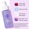 Serious Skincare Absolutes Age Disrupter Facial Treatment Serum with Resveratrol for Smooth Radiant Skin Grape Skin Stem