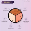 Cheek Palette Bronzer Highlighter Blush Palette for Dewy Skin Lit from Within by Dermaflage 10g35oz