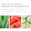 Blue Sage Watermelon Cucumber Brightening Essence Facial Toner Natural Face Mist with Witch Hazel to Even Complexion and