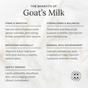 Little Seed Farm Goats Milk Face Moisturizer All Natural Organic Moisturizer Face Cream 20 Ounce