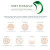 BioClarity 3Step Ultra Calming Routine for RednessProne Skin 100 Vegan Gentle Clean and Hydrate Face Contains Cucuber Gr