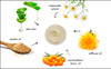 Raya Skin Recovery Masque 600 Calming MultiVitamin Facial Treatment Mask for Dry and Dehydrated Skin Nourishes Brightens