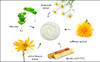 RAYA Glycolic Cream X50 with AHA G329 Exfoliating Facial Treatment for NonSensitive Skin Beginning to Show Signs of Agin