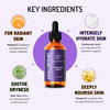 Eve Hansen Hydrating Hyaluronic Acid Serum for Face with Vitamin C Vitamin E Green Tea 72 Organic Firming Facial Moistur