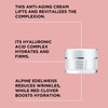 ARTDECO Instant Lifting Perfection Cream Firming Smoothing Regenerating AntiAging Cream with VelvetySmooth Texture Hydra
