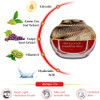 Aphrodite Day Cream Made in Korea Daily Moisturizing Facial Cream Intense Hydration